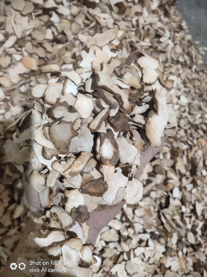 土茯苓小小片