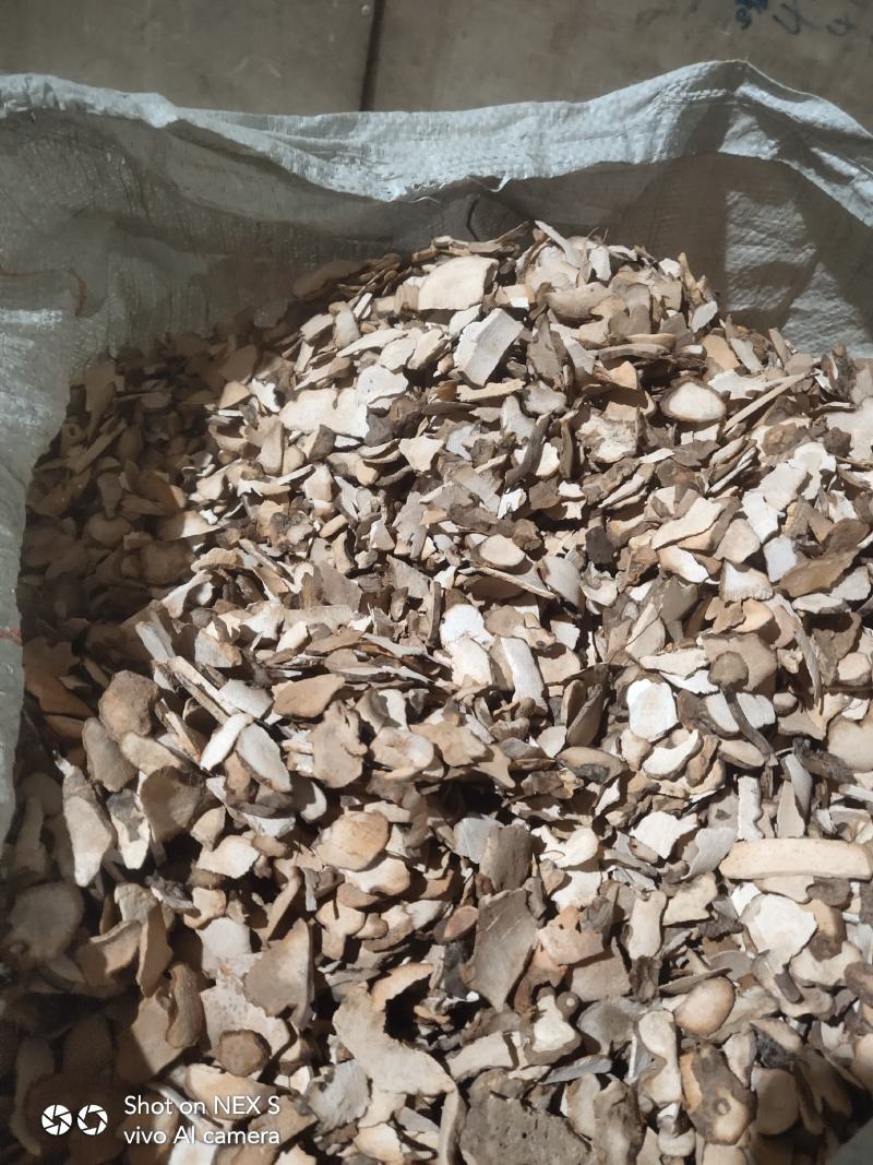 土茯苓小小片