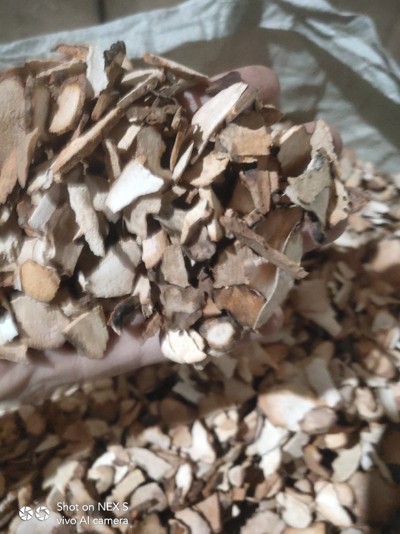 土茯苓小小片