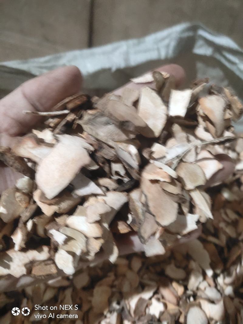 土茯苓小小片