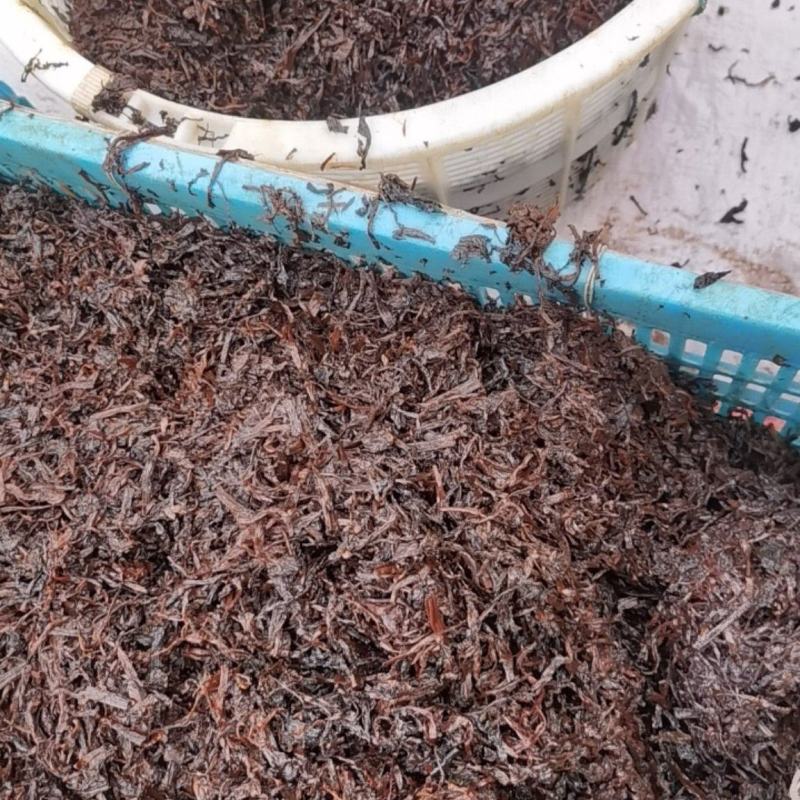 黑蒸梅干菜，金丝菜，量大质优价格优惠浙江省内包邮