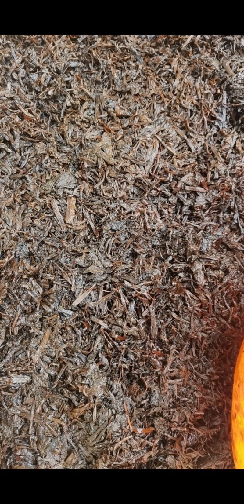 黑蒸梅干菜，金丝菜，量大质优价格优惠浙江省内包邮