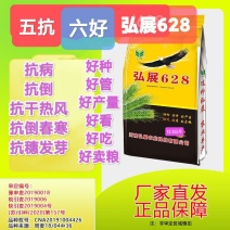 高产小麦种子弘展628，早熟抗病、抗倒、抗冻、抗倒春寒