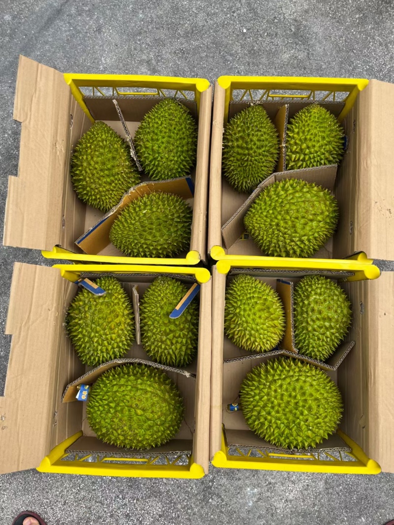 越南干荛大量有货，支持一件代发批发团购，每天发货30吨