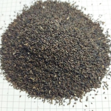 油菜籽
