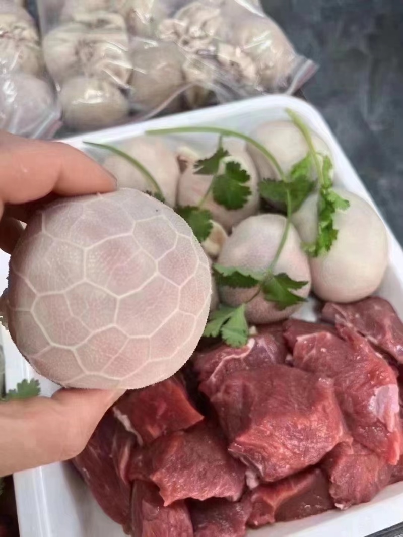 肚包肉