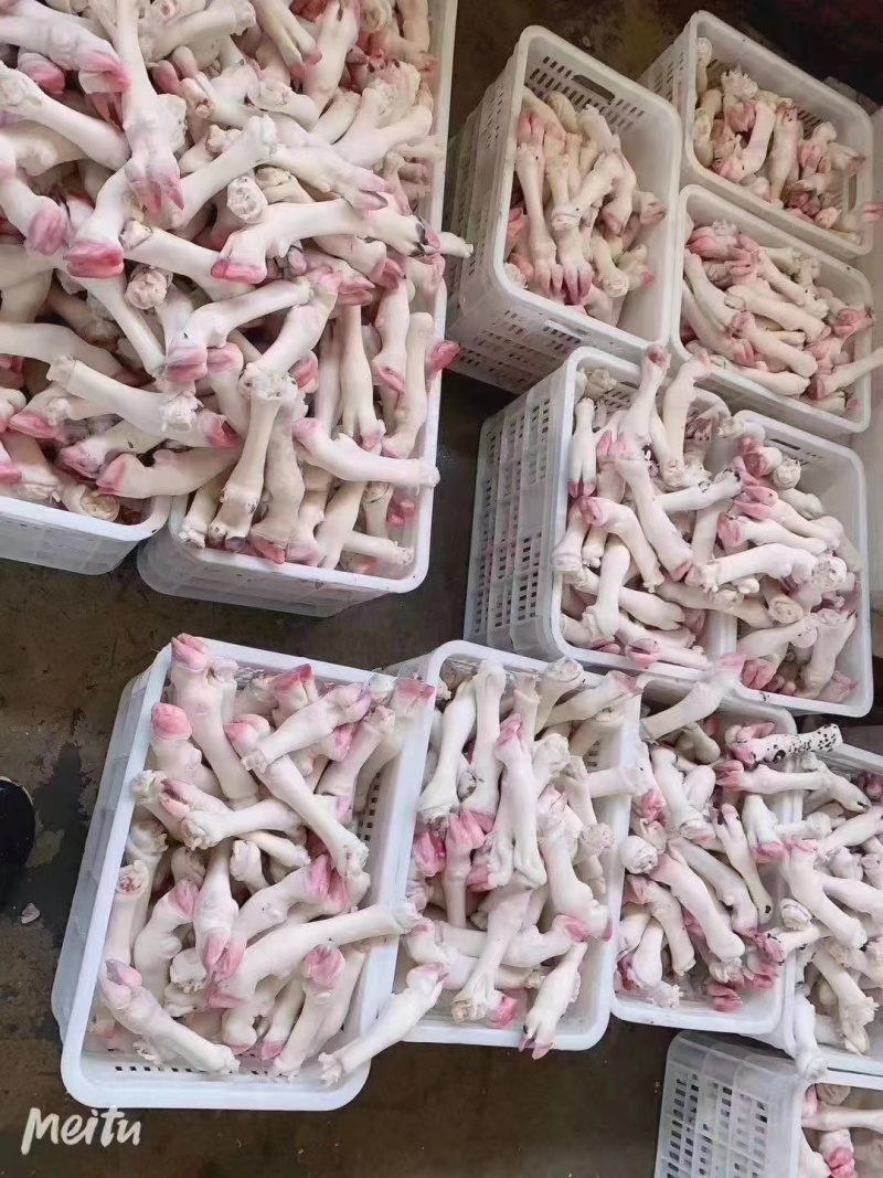 羊蹄河北厂家直发保质保量欢迎老板选购