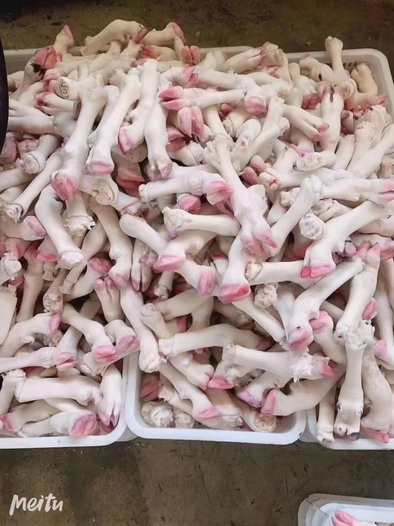 羊蹄河北厂家直发保质保量欢迎老板选购