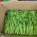 【推荐】江苏茼蒿自产自销货源充足对接商超档口电商团购