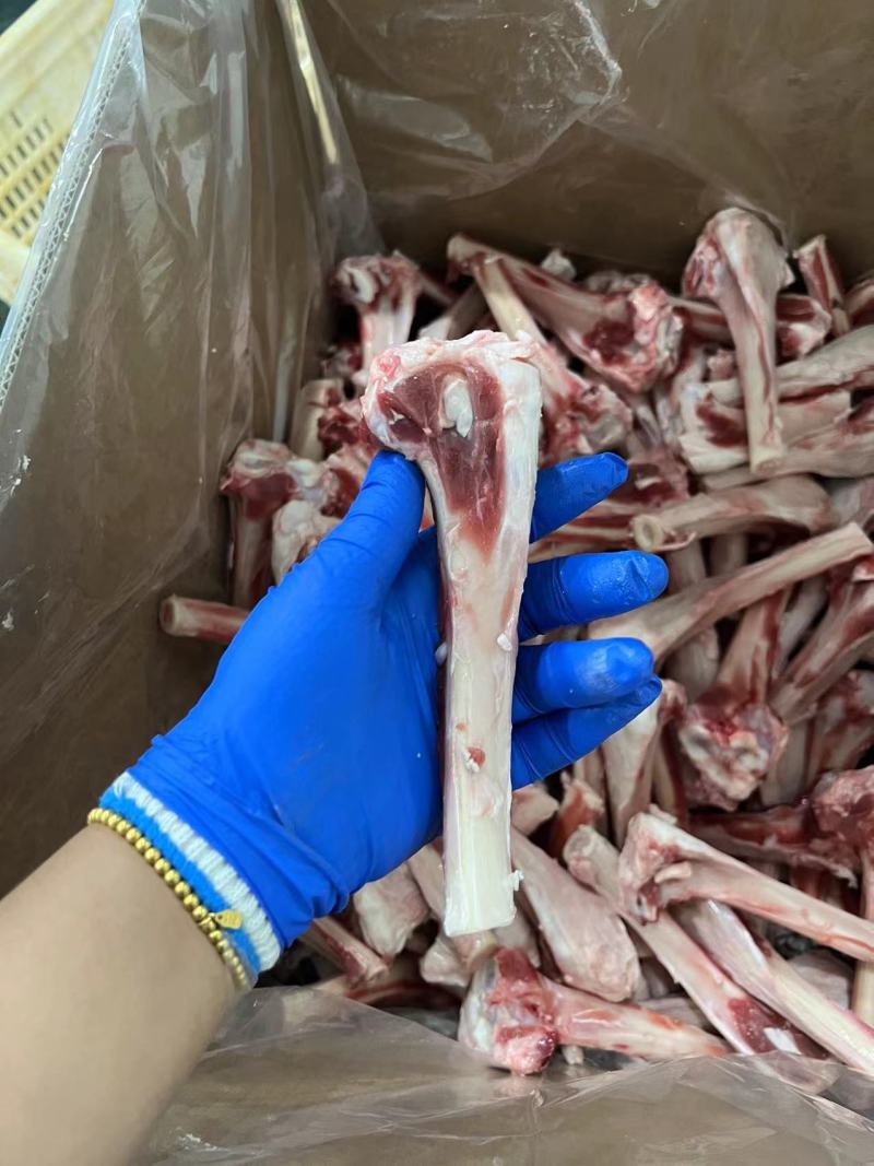 羊棒骨羔羊干棒河北厂家直价格实惠按质保量