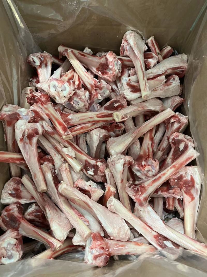 羊棒骨羔羊干棒河北厂家直价格实惠按质保量
