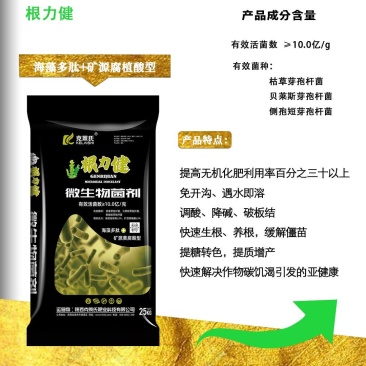 快速生根微生物菌肥免开沟利用率高提质增产养根护根肥料