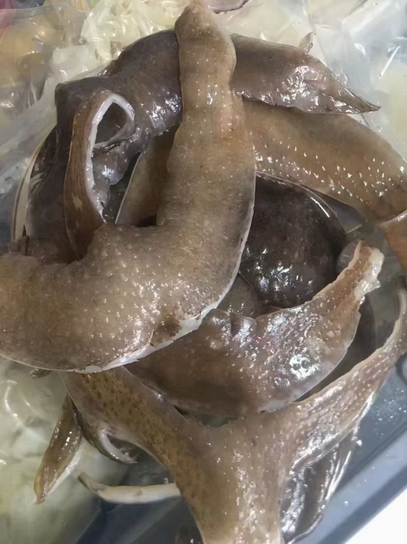甲鱼裙边