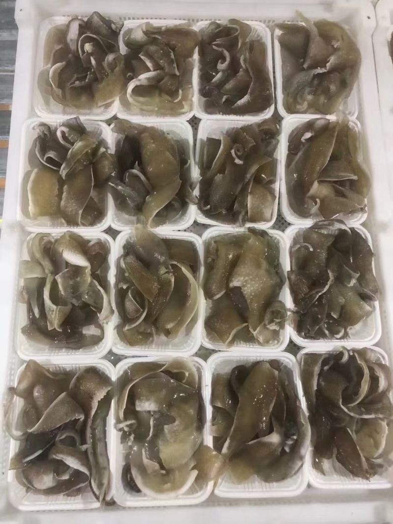 甲鱼裙边