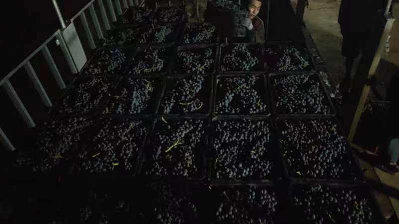 新疆榨汁加工果酱果酱果