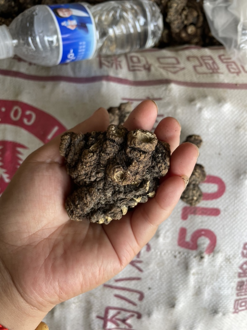 四川彭州川芎，农户种植自产自销，10吨货自然晒干