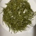 恩施富硒白茶