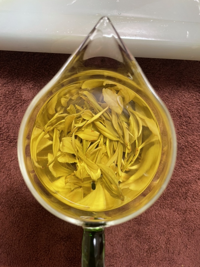 恩施富硒白茶