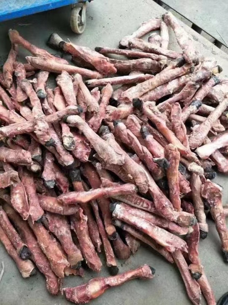 驴肉驴鞭带宝鞭单鞭独立装精修去油支持发全国