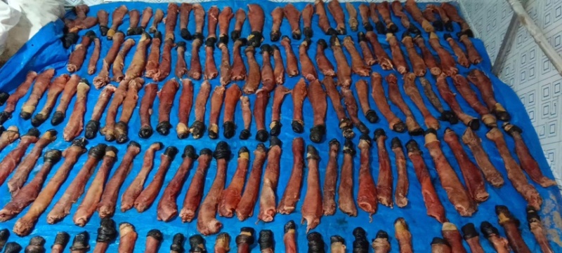 驴肉驴鞭带宝鞭单鞭独立装精修去油支持发全国
