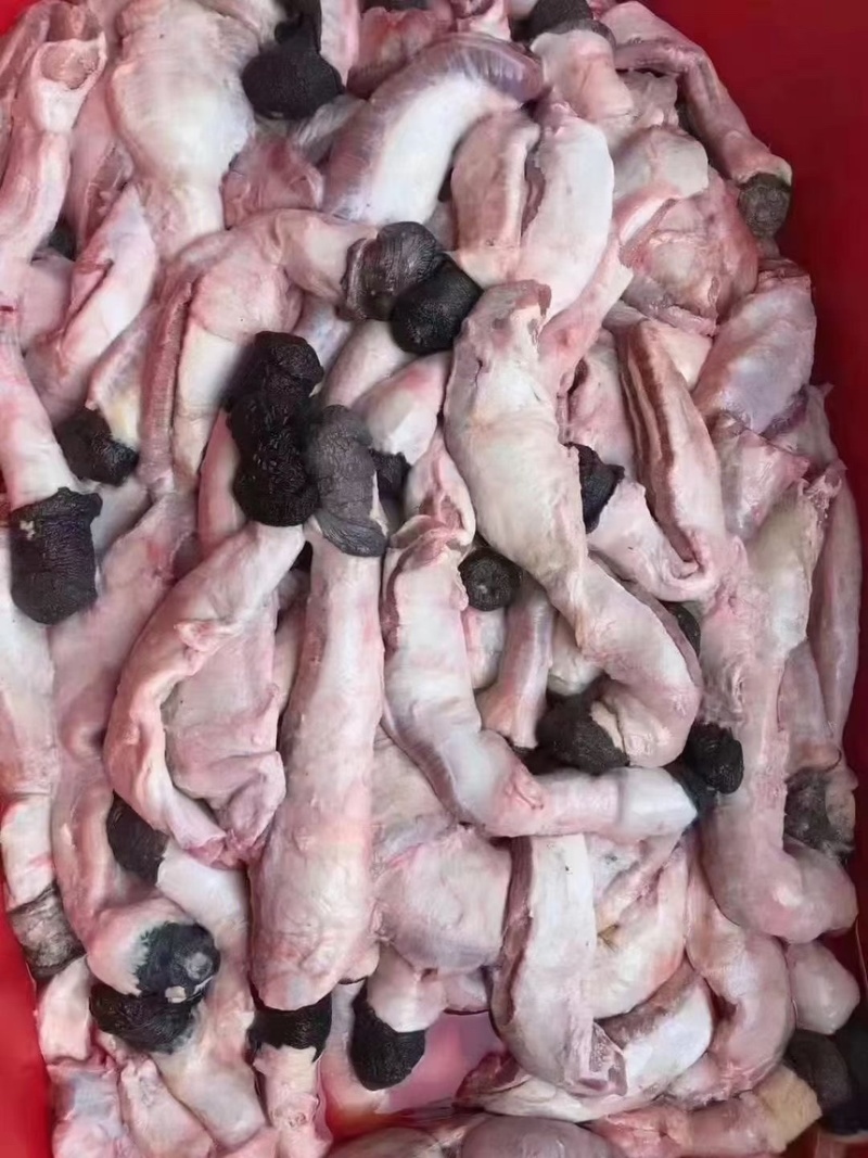 驴肉驴鞭带宝鞭单鞭独立装精修去油支持发全国