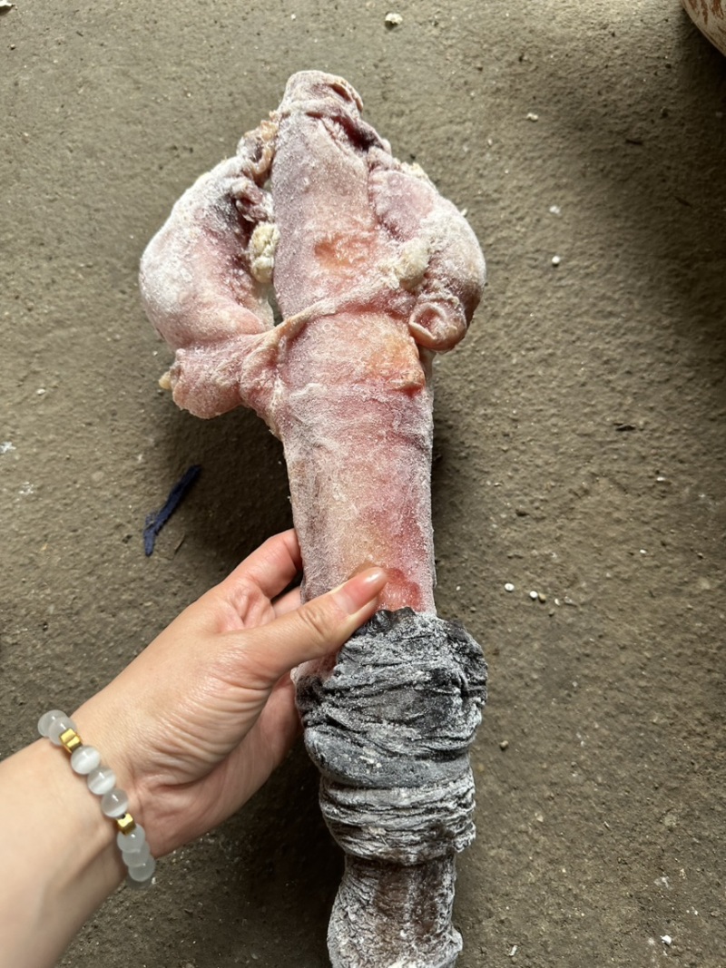 驴肉驴鞭带宝鞭单鞭独立装精修去油支持发全国