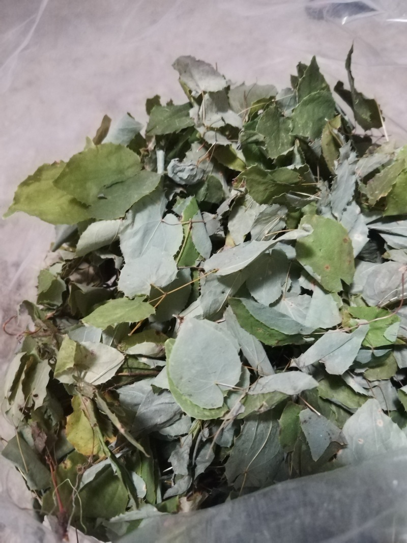 甘肃小圆叶淫羊藿无根非人工种植一手货源产地直发