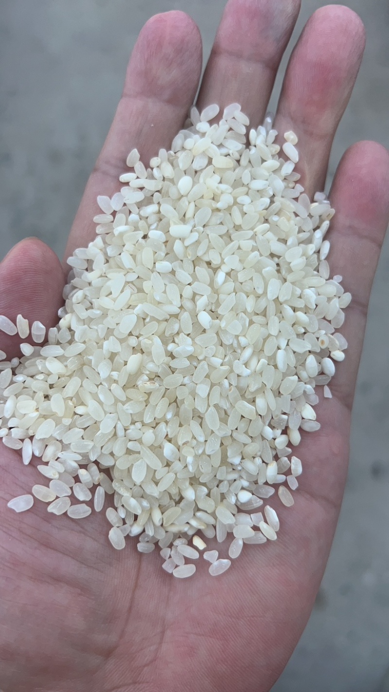 色远米。酒米
