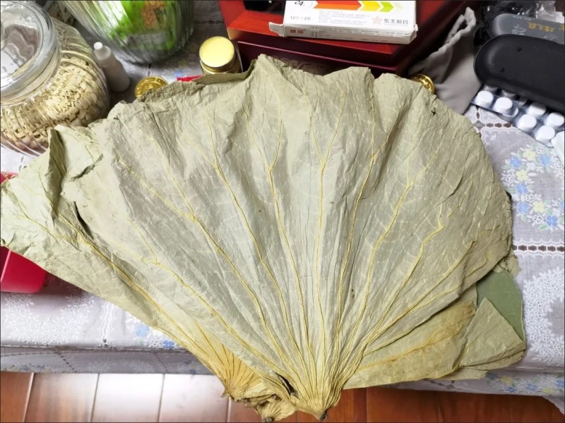 微山湖新鲜干荷叶叫花鸡卤制品熟食专用二级荷叶