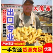 大黄姜面姜【承诺：坏烂包赔】电商货市场货欢迎来厂选购