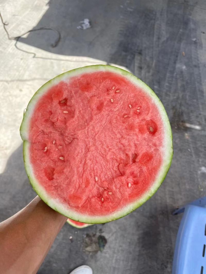 陕西甜王西瓜大量供应中，质量保证，全国发货，欢迎来电咨询