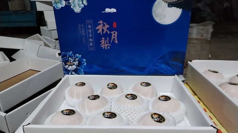 冠县精品丰水梨，皇冠梨/可供超市/可对接电商/全国发货