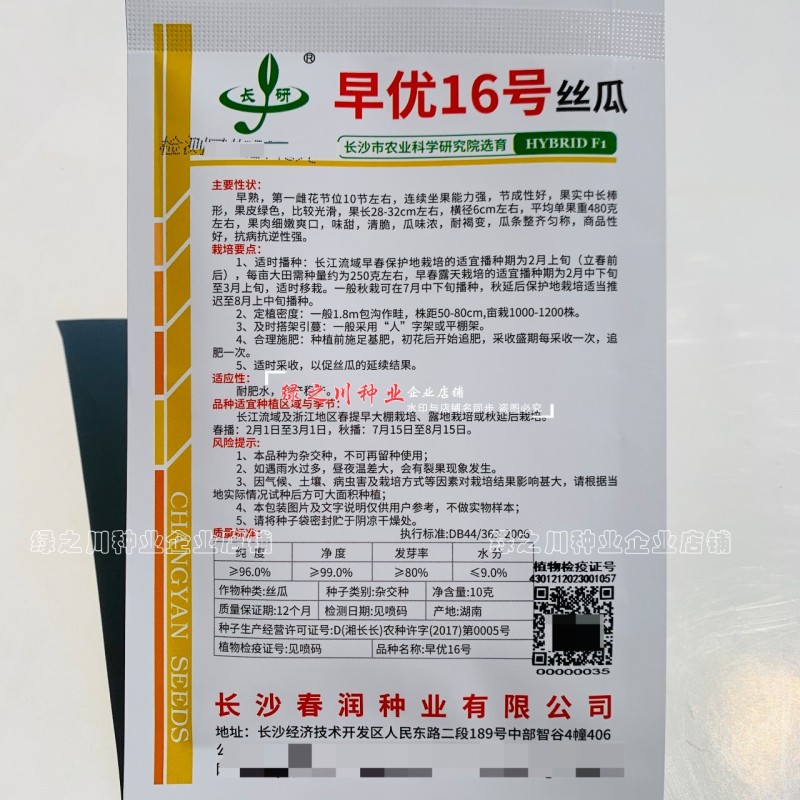 春润早优16号丝瓜种子早熟农科院选育中长丝瓜种籽味甜清脆