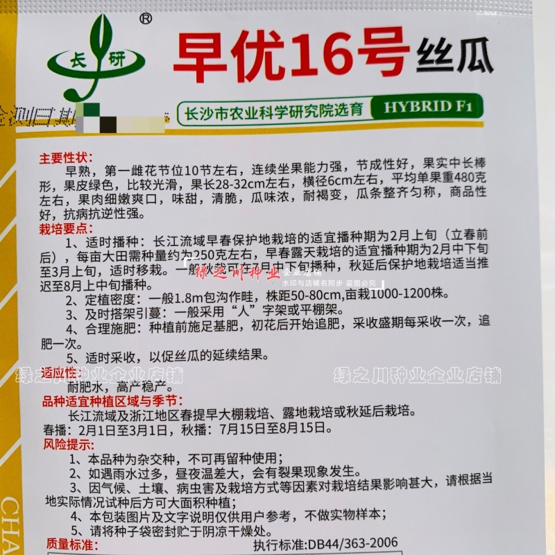 春润早优16号丝瓜种子早熟农科院选育中长丝瓜种籽味甜清脆