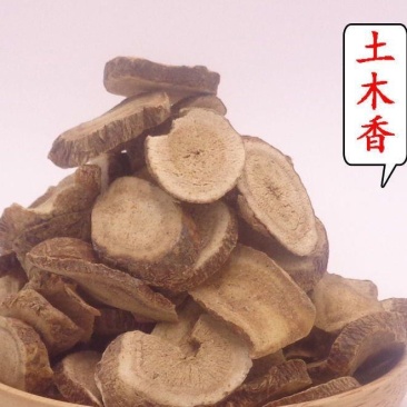 中药材土木香