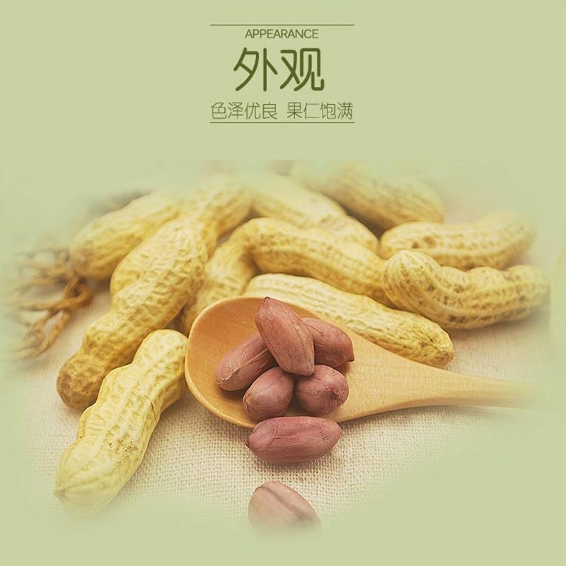 四粒红水煮咸干花生，口感酥脆香甜