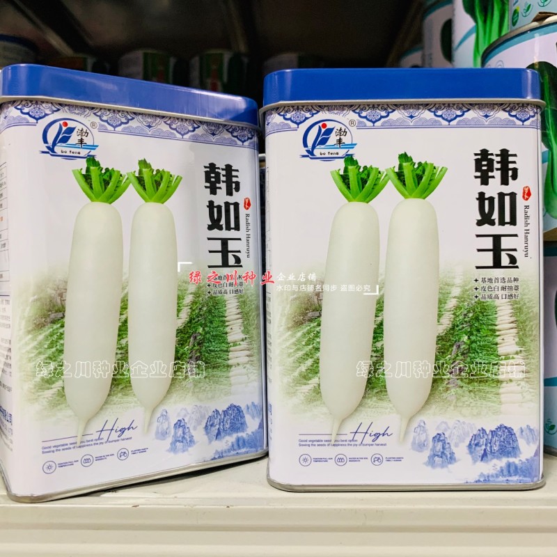 韩如玉白萝卜种子蔬菜基地专用杂交白萝卜种籽耐抽薹皮色白