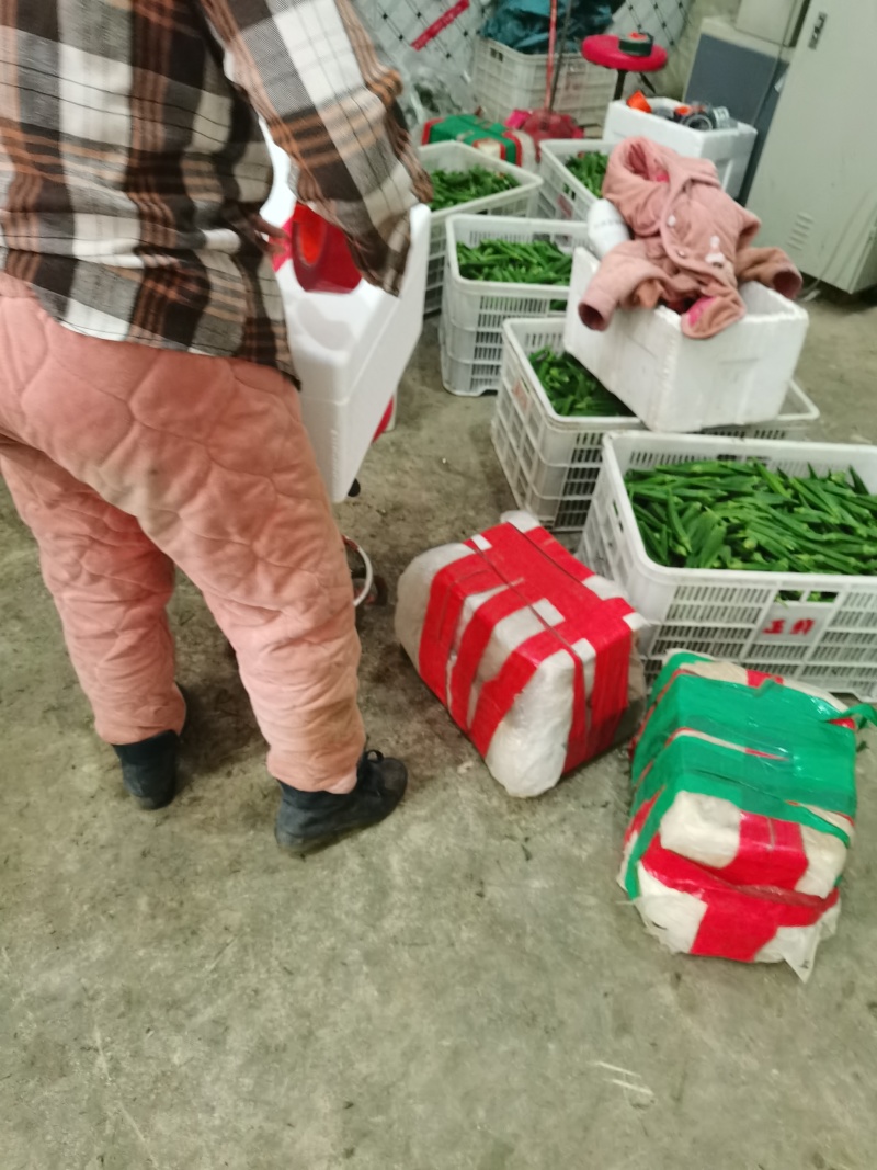 水果秋葵大量上市，物美价廉，欢迎定购。代收代发
