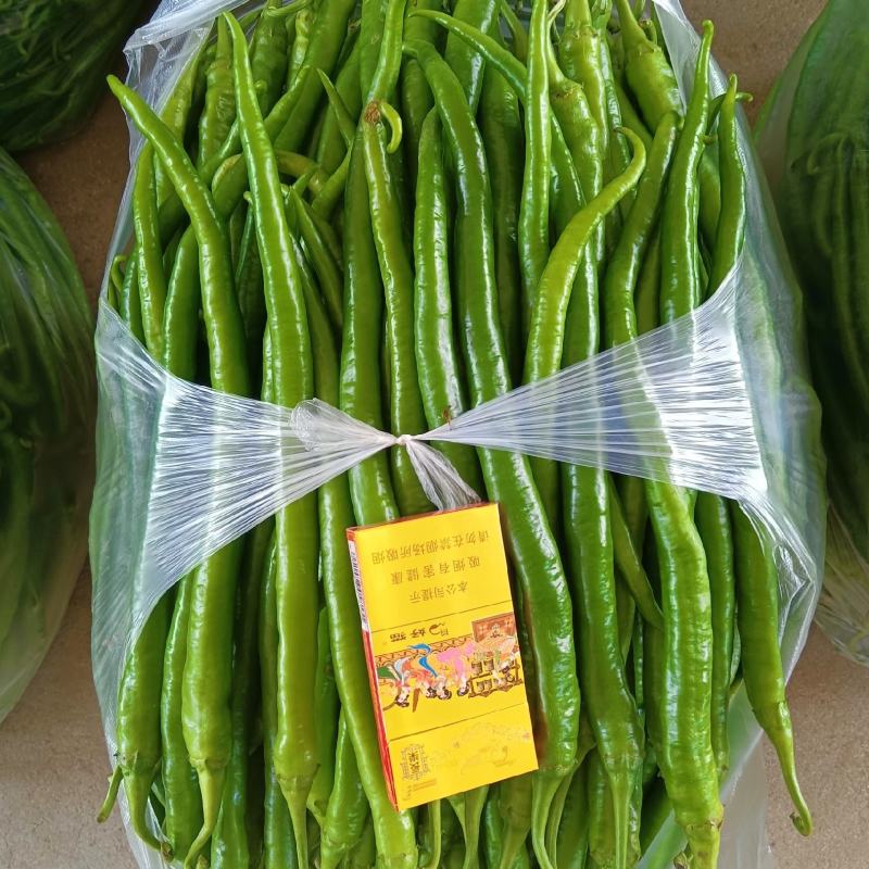 陕西汉中精品线辣，需要的客户快快联系质量保证货源充足