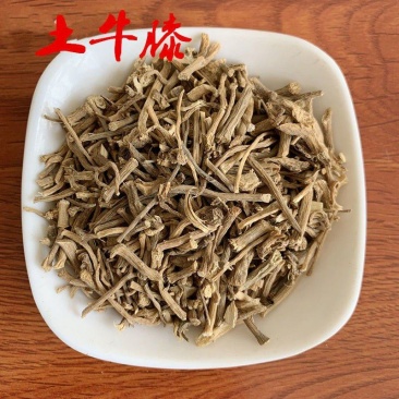 土牛膝倒扣草根粗毛牛膝土牛七倒钩草倒梗草