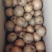 建宁翠冠梨