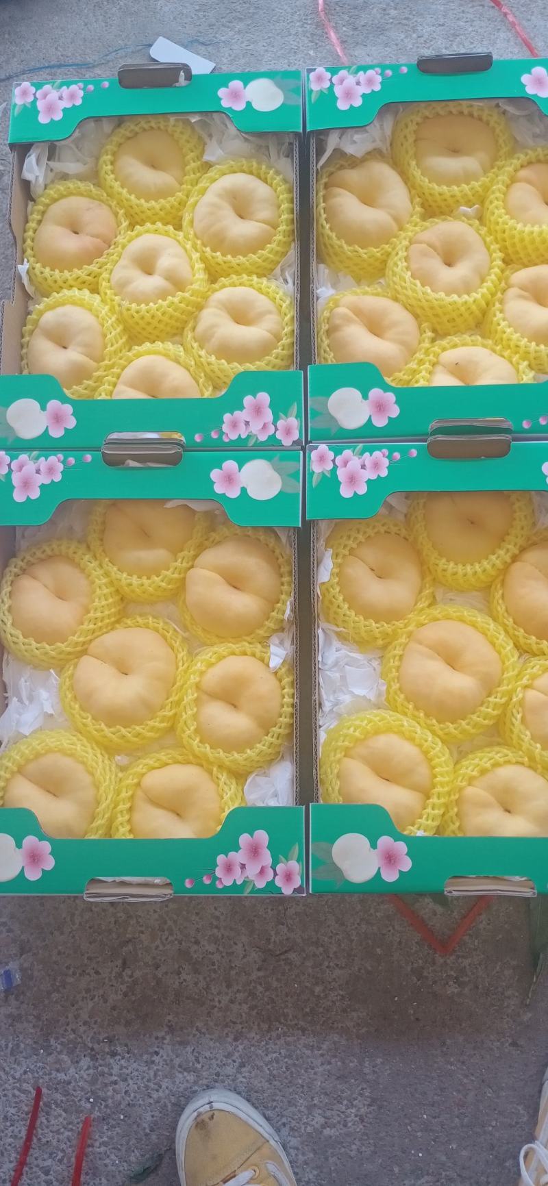 蟠桃油蟠上市个大脆甜耐运输保品质视频看货欢迎咨询