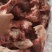 前腿骨