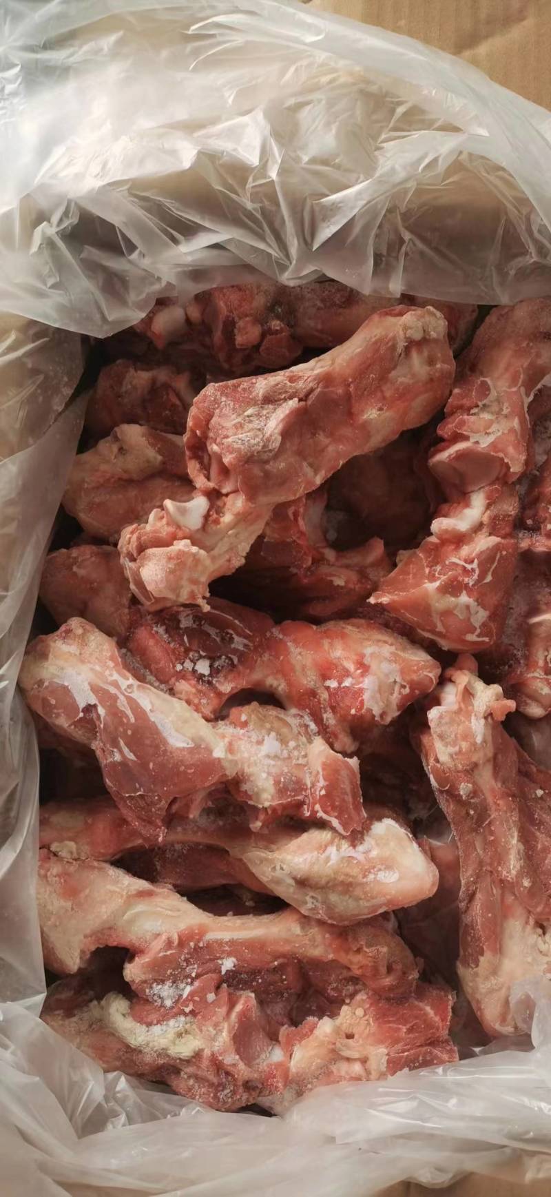 前腿骨