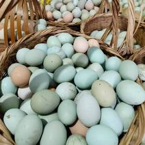 精品鸡蛋绿壳土鸡蛋货源充足量大从优质量保证欢迎咨询