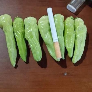小米椒