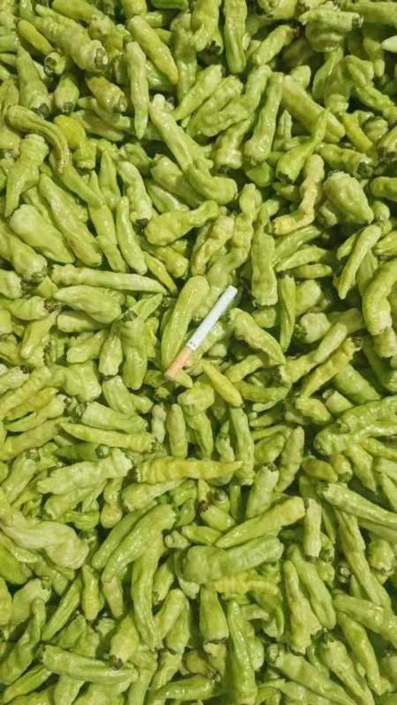 小米椒