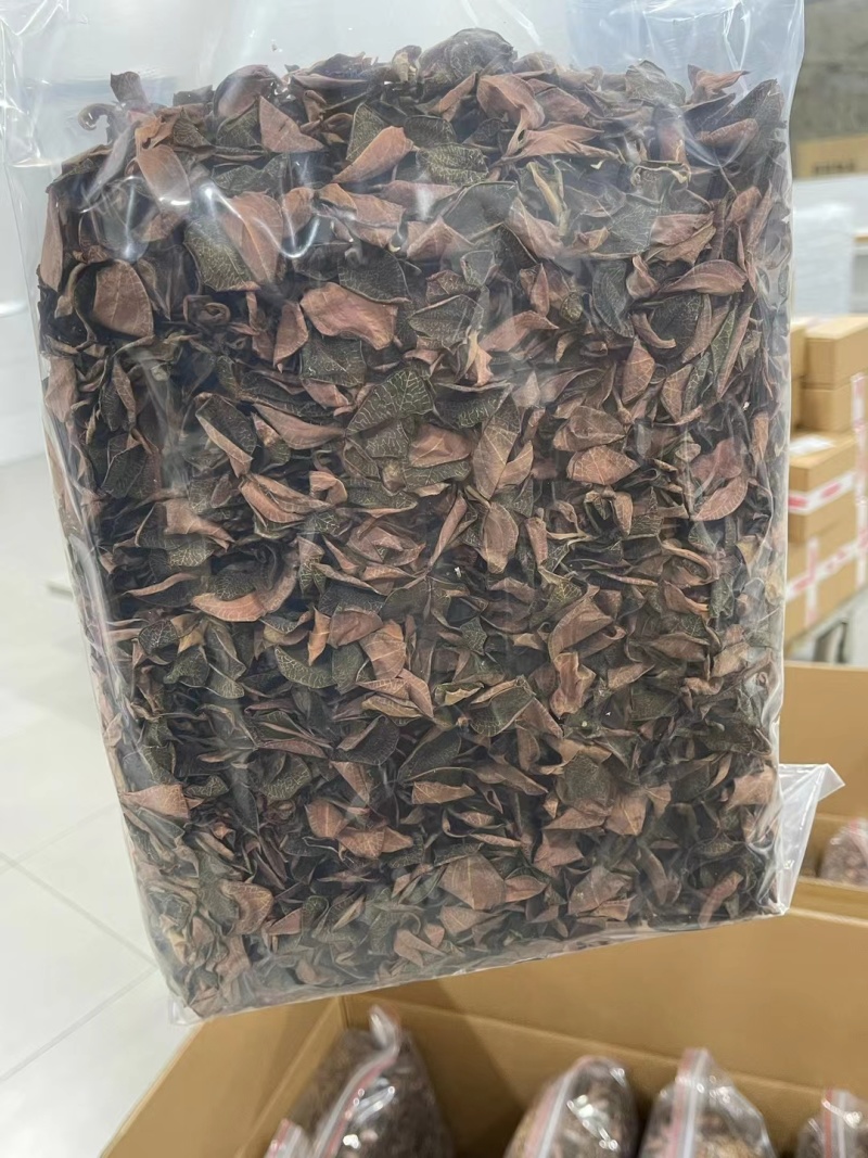 【优选台湾红霞金线莲】大量有货，整株无碎，品质保障
