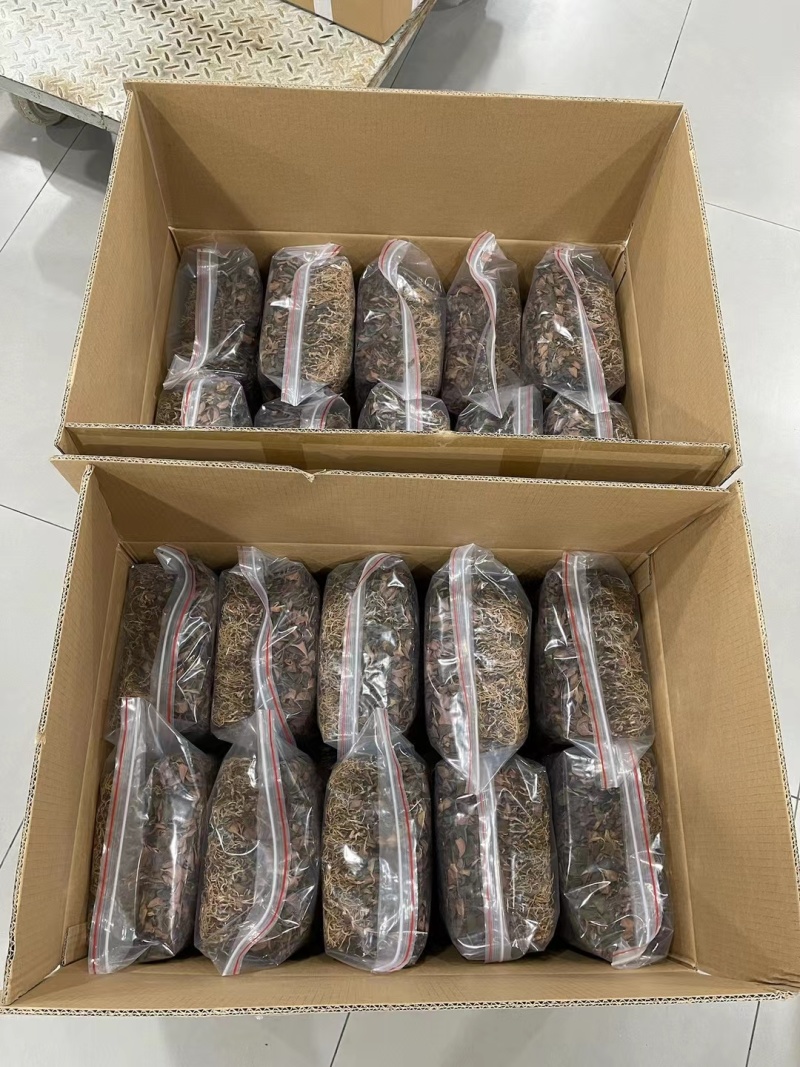 【优选台湾红霞金线莲】大量有货，整株无碎，品质保障
