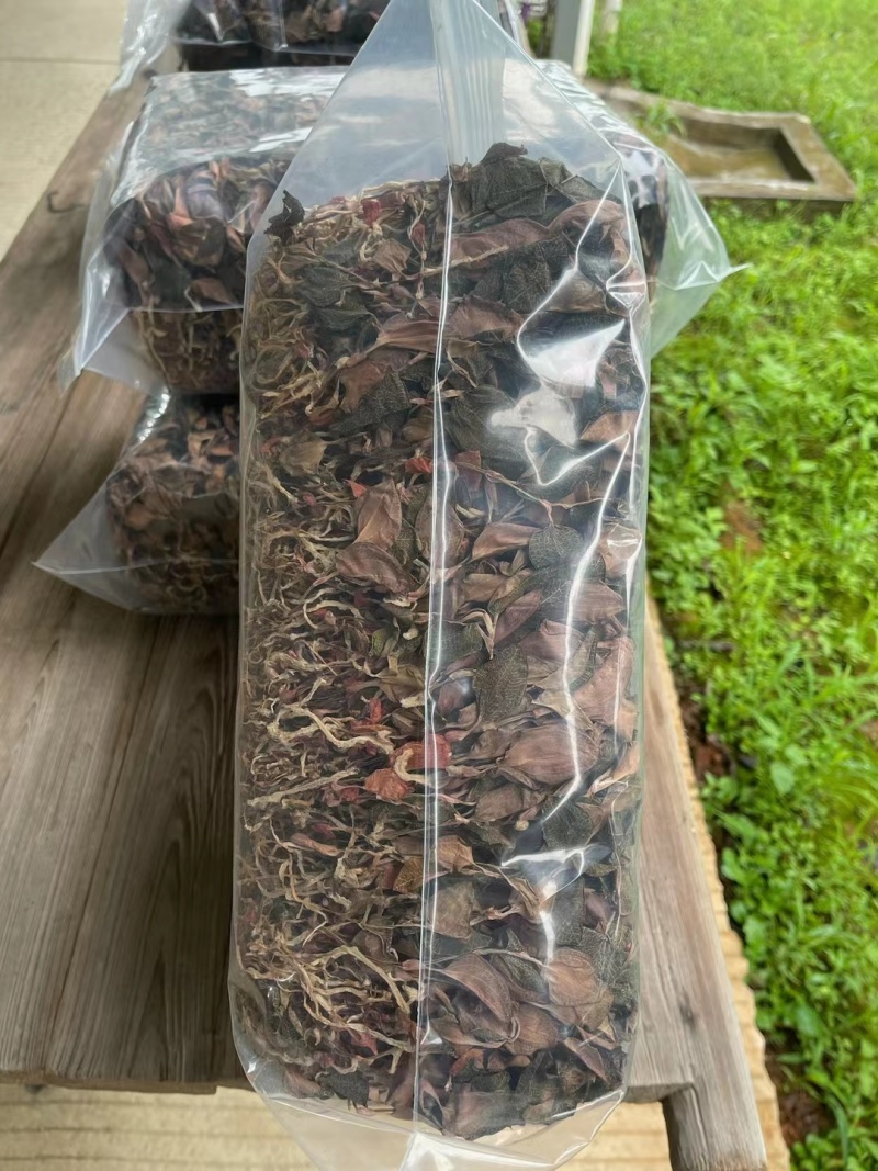 【优选台湾红霞金线莲】大量有货，整株无碎，品质保障
